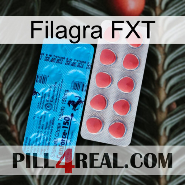 Filagra FXT new14.jpg